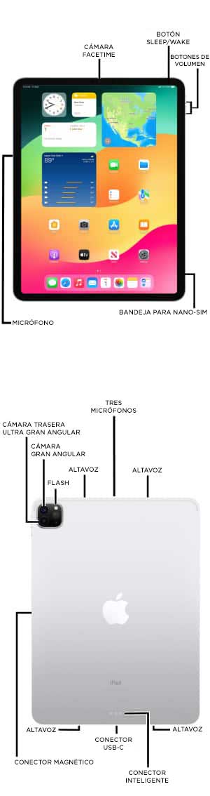 Diagrama del dispositivo