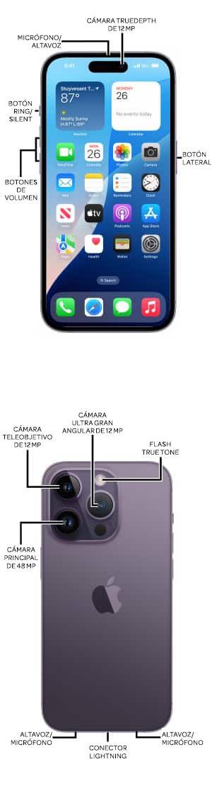 Diagrama del dispositivo