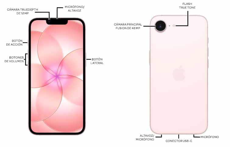 Diagrama del dispositivo