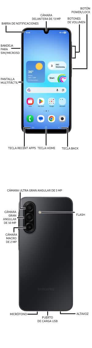 Diagrama del dispositivo