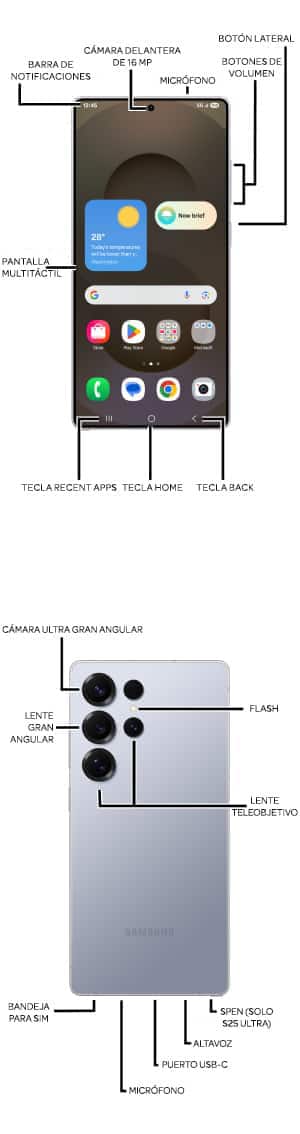Diagrama del dispositivo