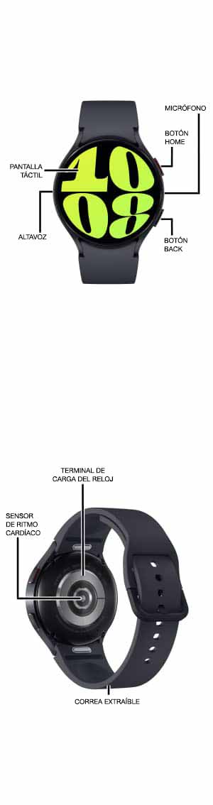 Diagrama del dispositivo
