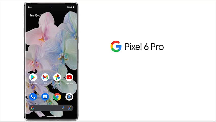 Google Pixel 6 Pro