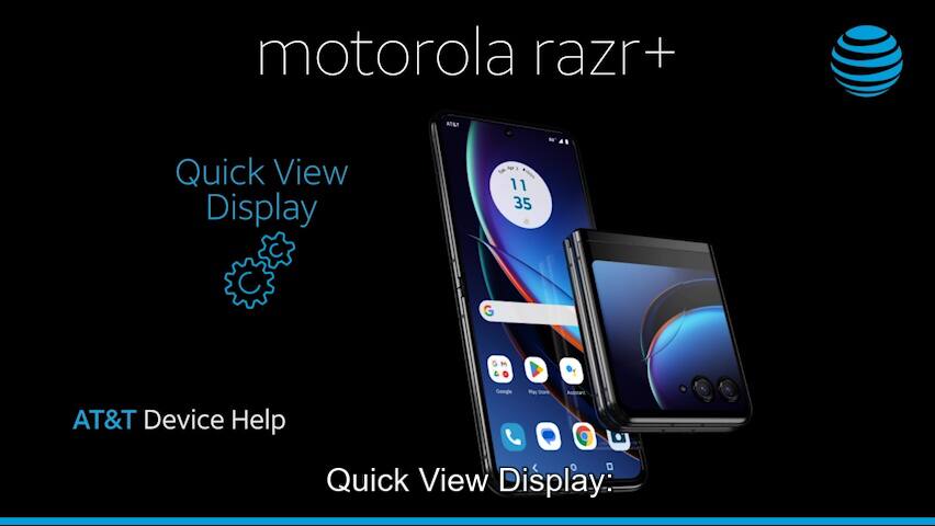 Pantalla de vista rápida