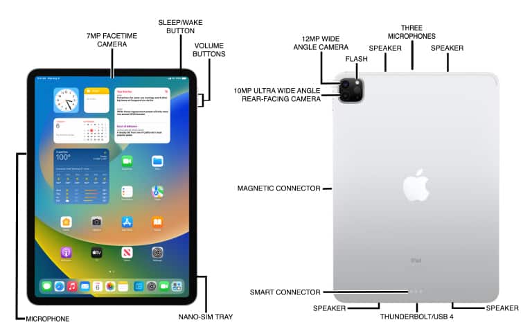Apple iPad Pro - 12.9” (5th Gen) Dimensions & Drawings