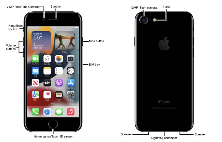 Apple iPhone 7 / 7 Plus Diagram - AT&T Device Support