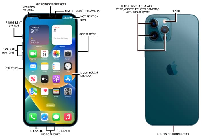 Apple iPhone 12 Pro Max Diagram - AT&T Device Support