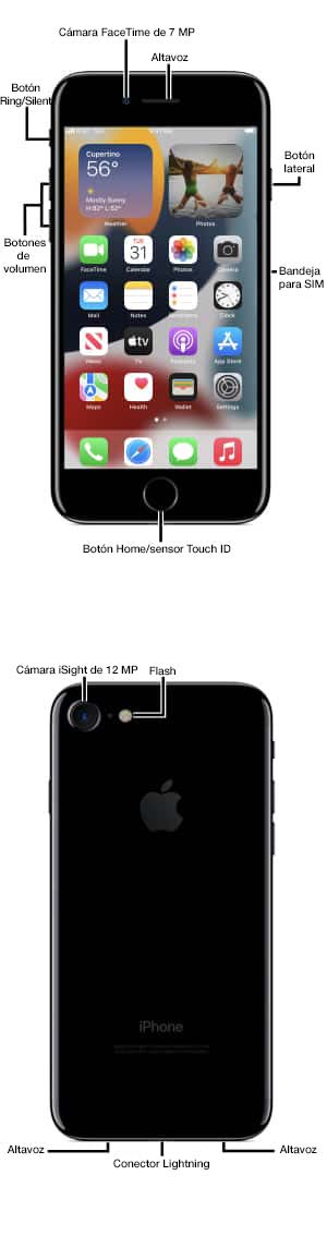 Diagrama del dispositivo