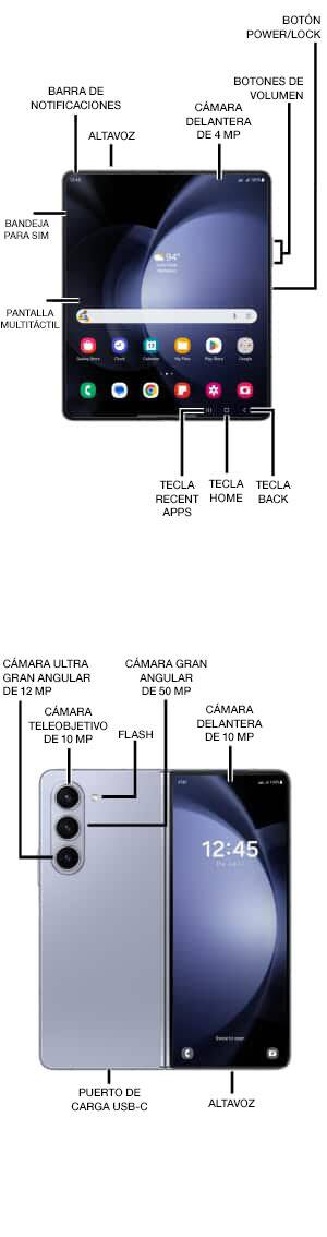 Diagrama del dispositivo