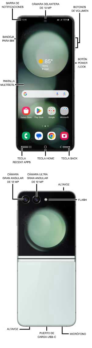 Diagrama del dispositivo