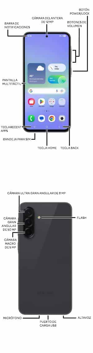 Diagrama del dispositivo