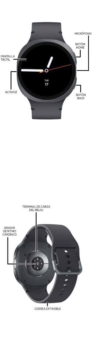 Diagrama del dispositivo