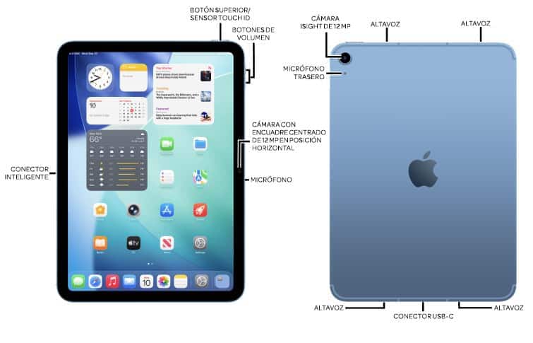 Diagrama del dispositivo