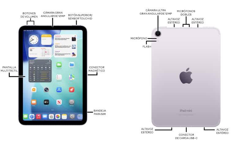 Diagrama del dispositivo