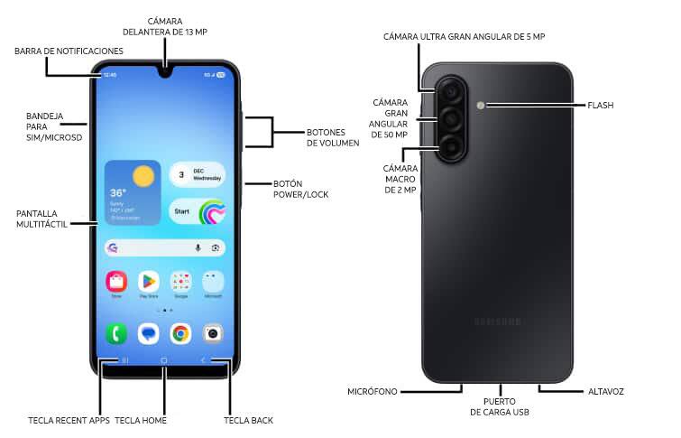 Diagrama del dispositivo