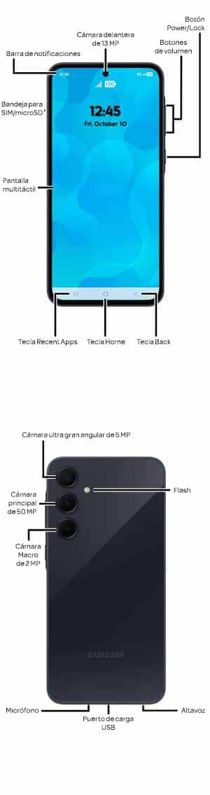 Diagrama del dispositivo