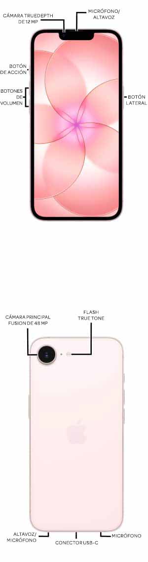 Diagrama del dispositivo