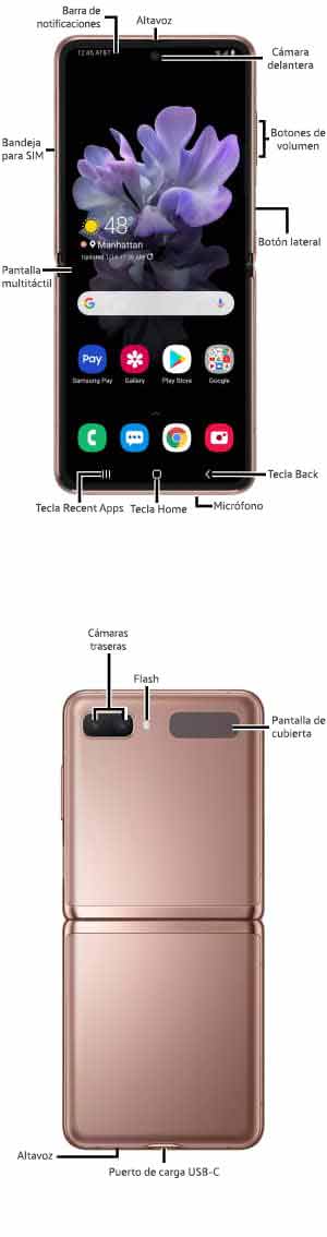 Diagrama del dispositivo