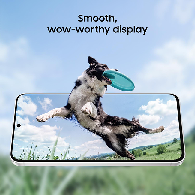 Dog catching a flying disc on a smartphone display, highlighting smooth visuals.