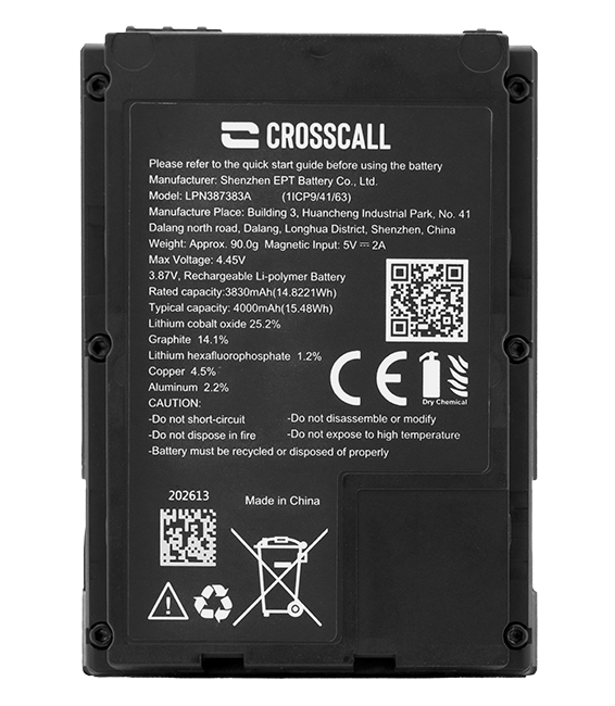 Core P6 Battery Pack