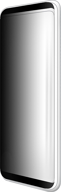 BodyGuardz Arc Privacy Curved Tempered Glass Screen Protector - Samsung Galaxy S9