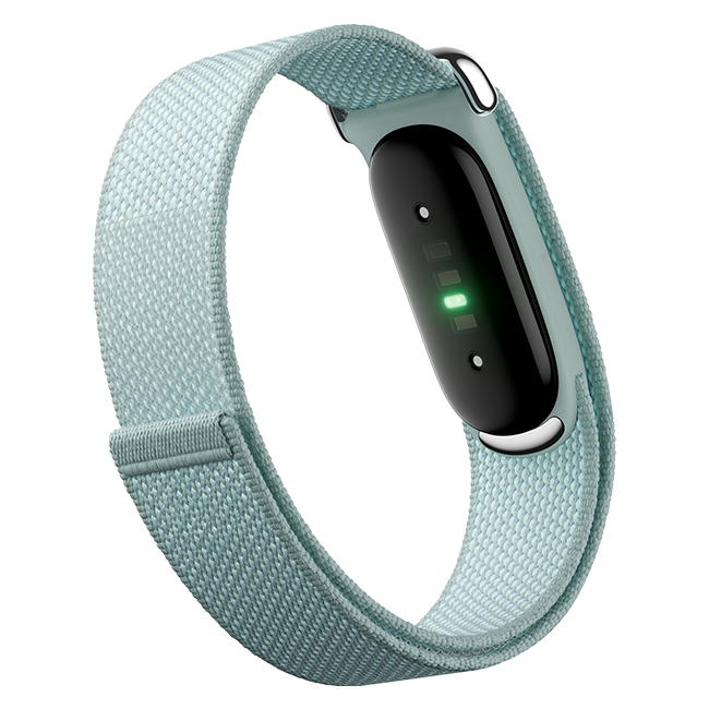 Google Fitbit Air Regular