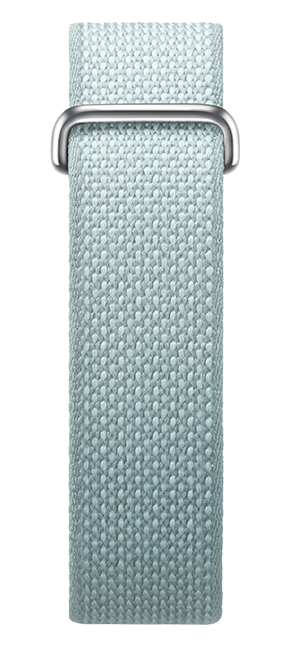 Google Fitbit Air Regular