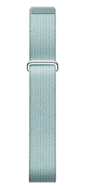 Google Fitbit Air Regular