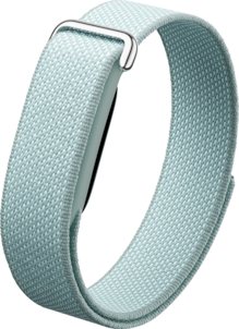 Google Fitbit Air Regular