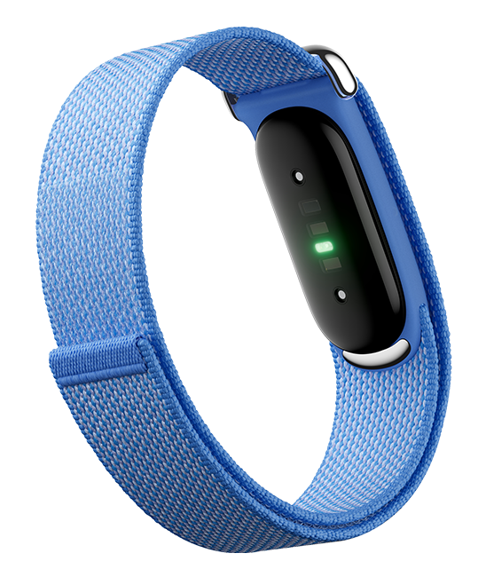 Google Fitbit Air