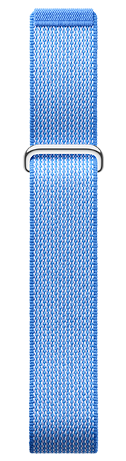 Google Fitbit Air