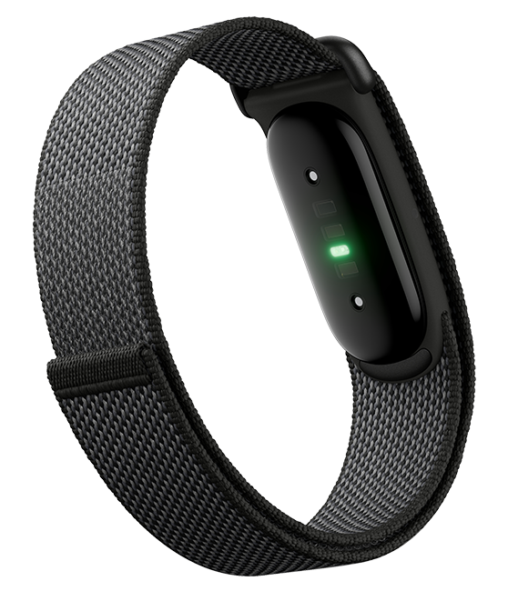 Google Fitbit Air