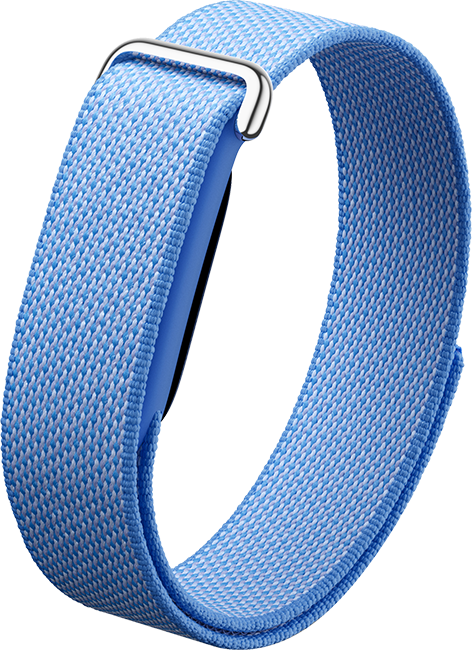 Google Fitbit Air