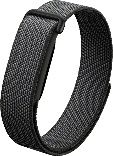 Google Fitbit Air