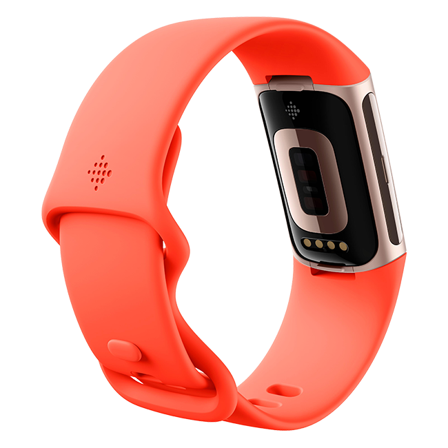 Google Fitbit Charge 6