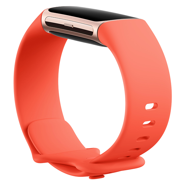 Google Fitbit Charge 6