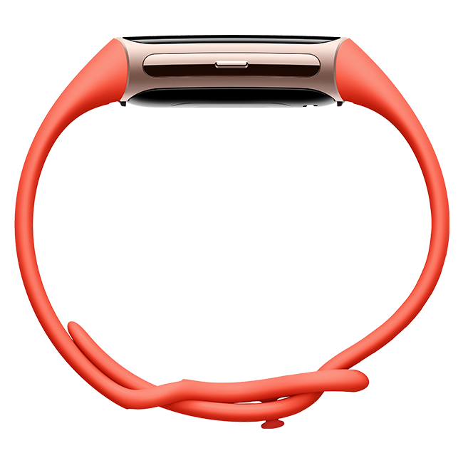 Google Fitbit Charge 6