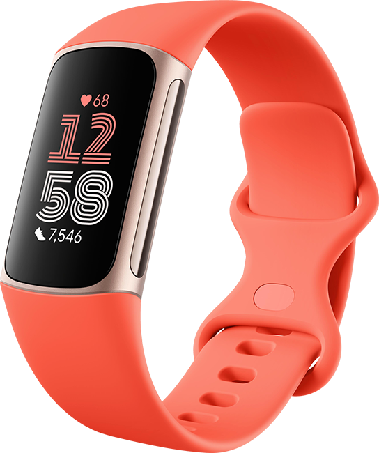 Google Fitbit Charge 6