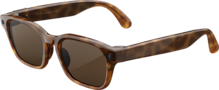 Adventurer Classic Tortoise