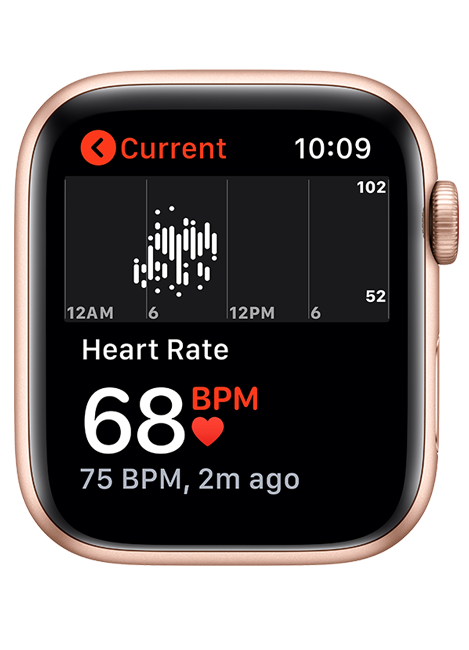 Apple Watch SE - 44mm