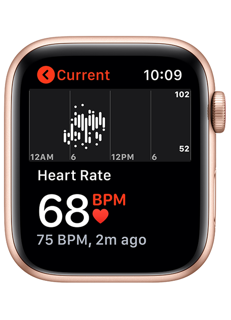 Apple Watch SE - 44mm