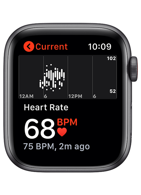 Apple Watch SE - 44mm