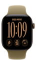 Apple Watch Series 12 42mm