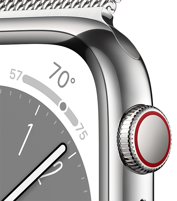 Apple Watch Series 8 - 41mm - Silver Steel Silver Milanese Loop  (Product view 3)