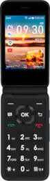 AT&T Cingular Flip IV