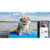 Samsung Galaxy A35 5G