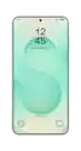 Samsung Galaxy S25
