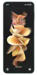 Samsung Galaxy Z Flip3 5G