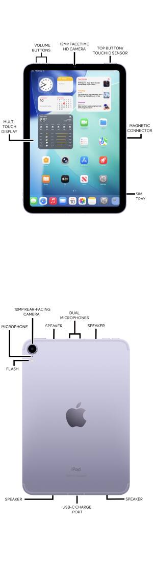 Device Diagram
