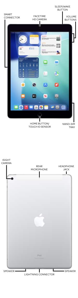 Device Diagram
